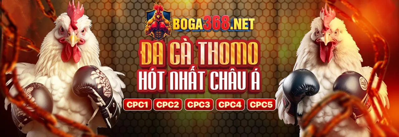 Hình ảnh đá gà trực tuyến kịch tính tại bcx88 link mới