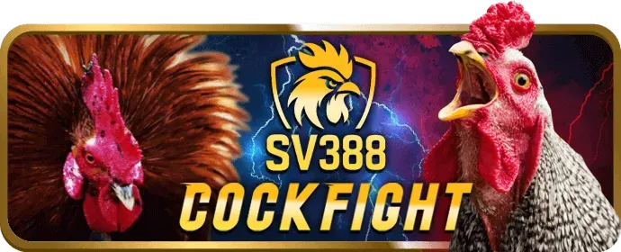 Hướng dẫn chơi slot game cho người mới bắt đầu